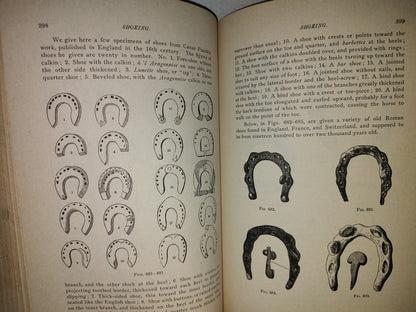 173- Enciclopedia Del Caballo. The Classic Encyclopedia Of The Horse - Dennis Magner - Bonanza Edition 1980
