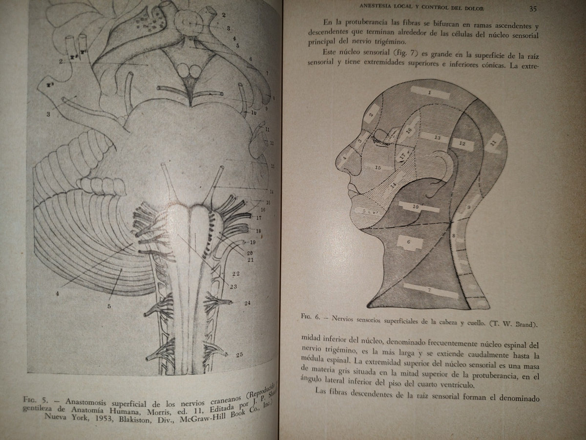 192- Anestesia Local Y Control De Dolor En La Práctica Dental - Leonardo M. Monheim - 1959