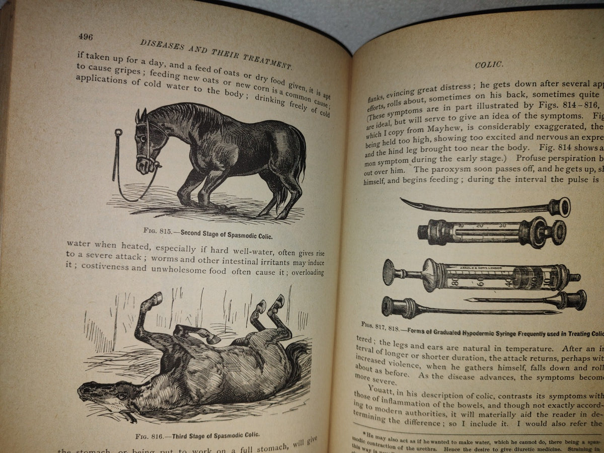 173- Enciclopedia Del Caballo. The Classic Encyclopedia Of The Horse - Dennis Magner - Bonanza Edition 1980