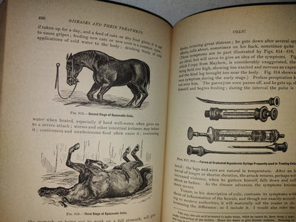 173- Enciclopedia Del Caballo. The Classic Encyclopedia Of The Horse - Dennis Magner - Bonanza Edition 1980