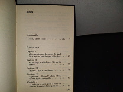 139- Mañana Será Mejor - Carlo Carretto - Ediciones Paulinas - 1971
