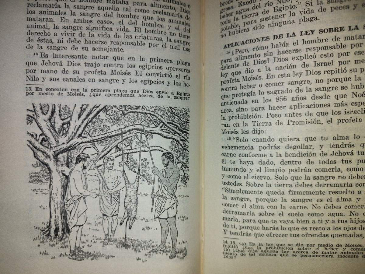 209- Watchtower. Testigos De Jehová - Vida Eterna En Libertad De Los Hijos De Dios - 1966