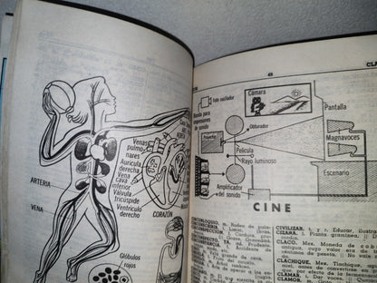 93- Nuevo Diccionario Académico. Fernández Editores - 1985