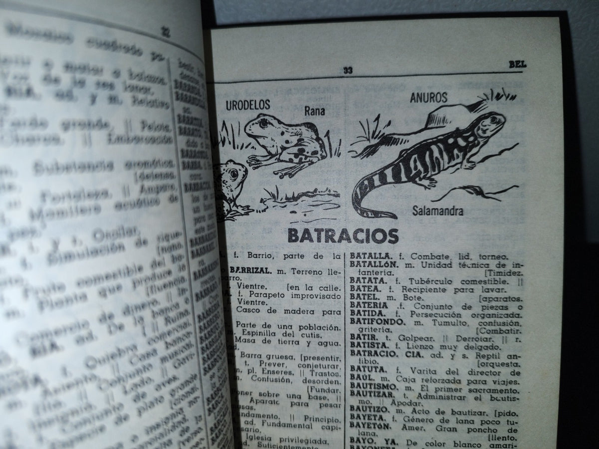 93- Nuevo Diccionario Académico. Fernández Editores - 1985