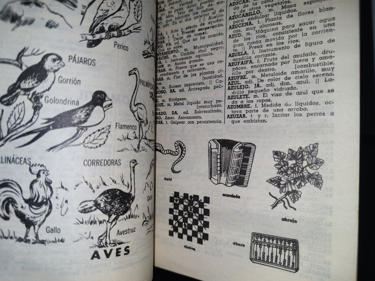 93- Nuevo Diccionario Académico. Fernández Editores - 1985
