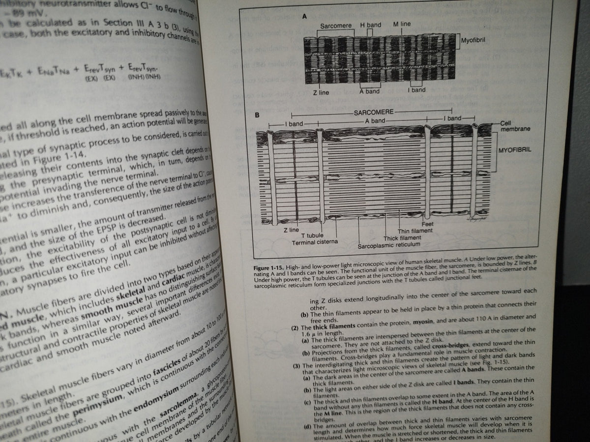 114- Physiology. Johon Bullock, Joeph Boyle, Michael B. Wang