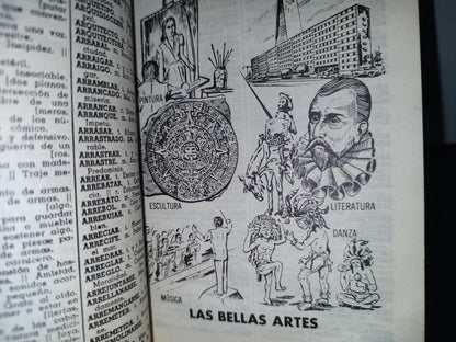 93- Nuevo Diccionario Académico. Fernández Editores - 1985