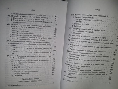 20- El Buque. Una Introducción Al Estudio Del Estatuto Jurídico De Las Embarcaciones. José David Enríquez Rosas - Universidad Panamericana / Universidad Nacional Autónoma De México - Primera Edición: 1998