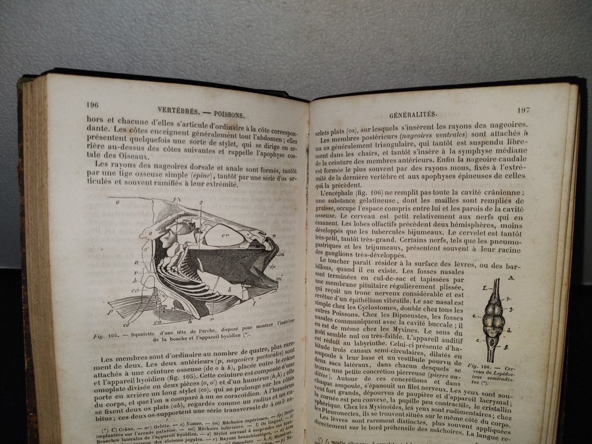 64- Nouveaux Éléments D'Histoire Naturelle Médicale - D. Cauvet - Tome Premier - 1877