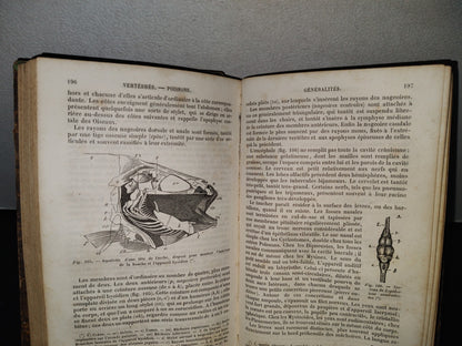 64- Nouveaux Éléments D'Histoire Naturelle Médicale - D. Cauvet - Tome Premier - 1877