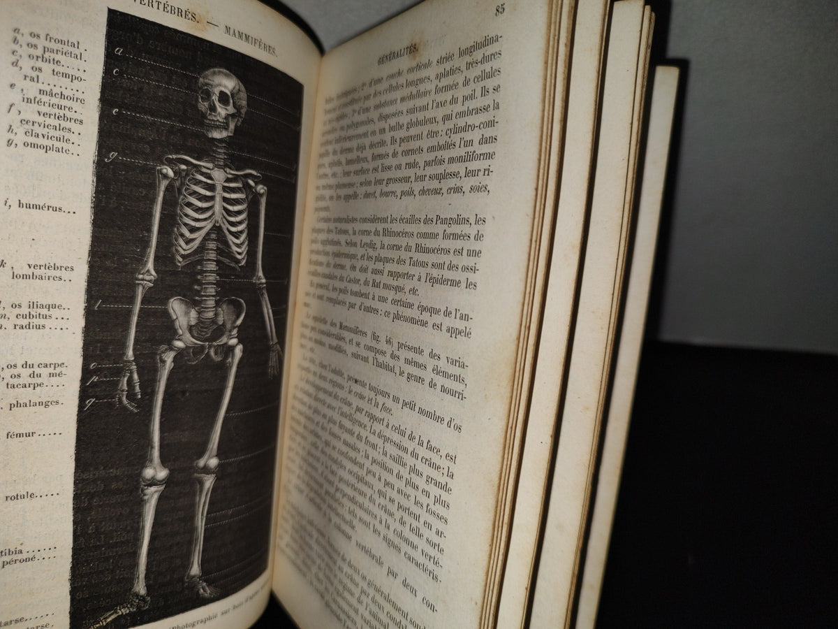 64- Nouveaux Éléments D'Histoire Naturelle Médicale - D. Cauvet - Tome Premier - 1877