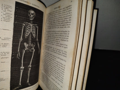 64- Nouveaux Éléments D'Histoire Naturelle Médicale - D. Cauvet - Tome Premier - 1877