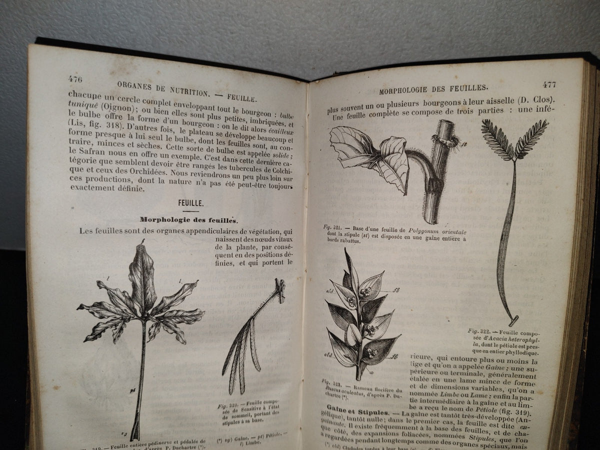 64- Nouveaux Éléments D'Histoire Naturelle Médicale - D. Cauvet - Tome Premier - 1877
