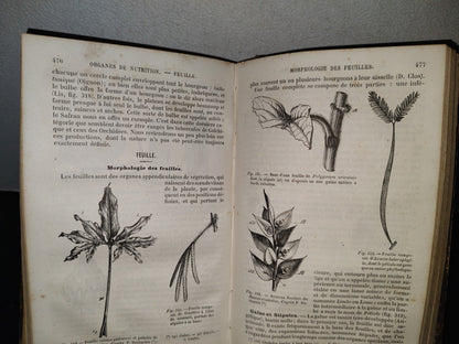 64- Nouveaux Éléments D'Histoire Naturelle Médicale - D. Cauvet - Tome Premier - 1877