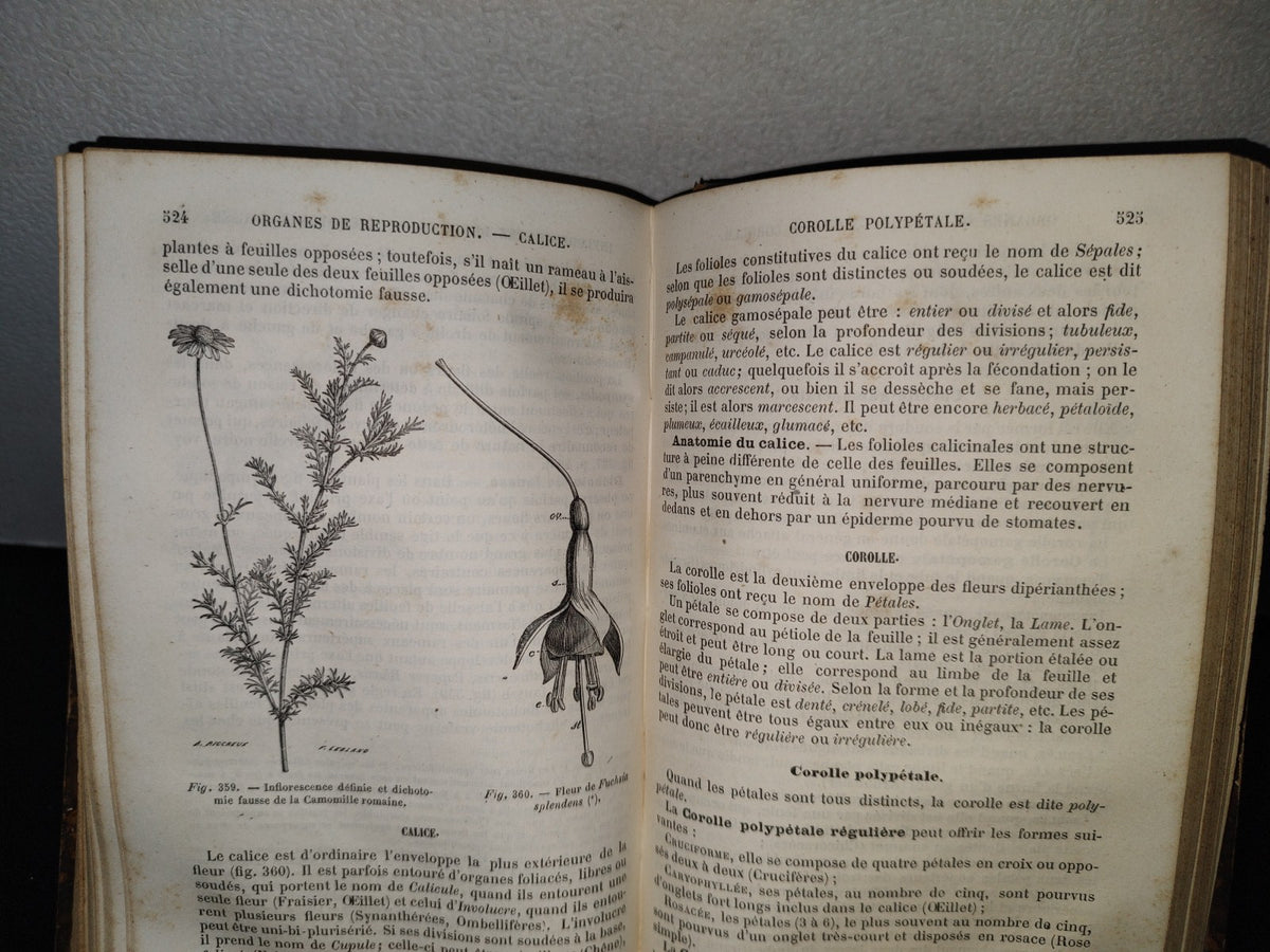 64- Nouveaux Éléments D'Histoire Naturelle Médicale - D. Cauvet - Tome Premier - 1877