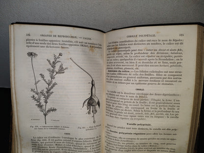 64- Nouveaux Éléments D'Histoire Naturelle Médicale - D. Cauvet - Tome Premier - 1877