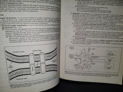 114- Physiology. Johon Bullock, Joeph Boyle, Michael B. Wang