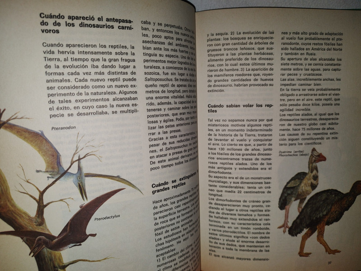99- Biblioteca Básica Juvenil. El Libro Del Cuándo, Porqué, Dónde, Cómo - Ediciones Grijalbo, 1973
