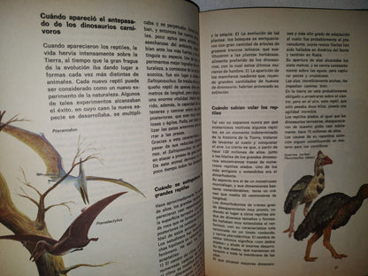 99- Biblioteca Básica Juvenil. El Libro Del Cuándo, Porqué, Dónde, Cómo - Ediciones Grijalbo, 1973