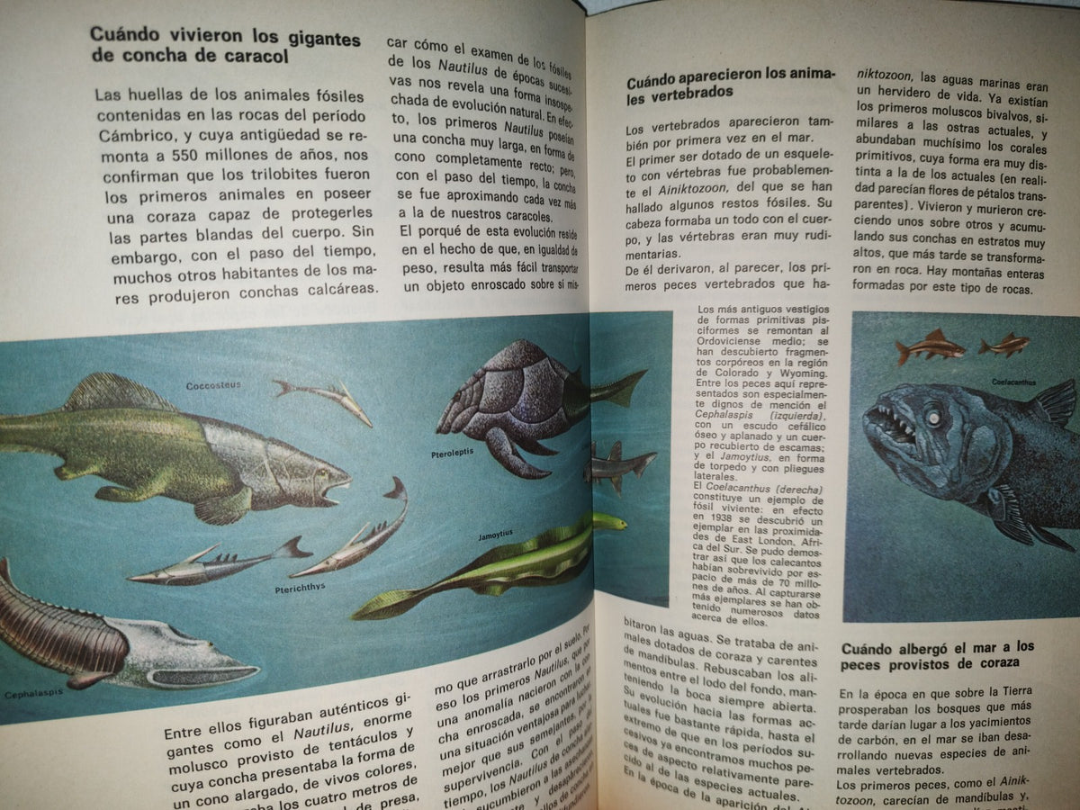 99- Biblioteca Básica Juvenil. El Libro Del Cuándo, Porqué, Dónde, Cómo - Ediciones Grijalbo, 1973