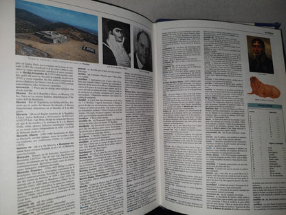 87-2- Rezza. Diccionario Enciclopédico Para El Siglo Xxi - Rezza Editores - 2001