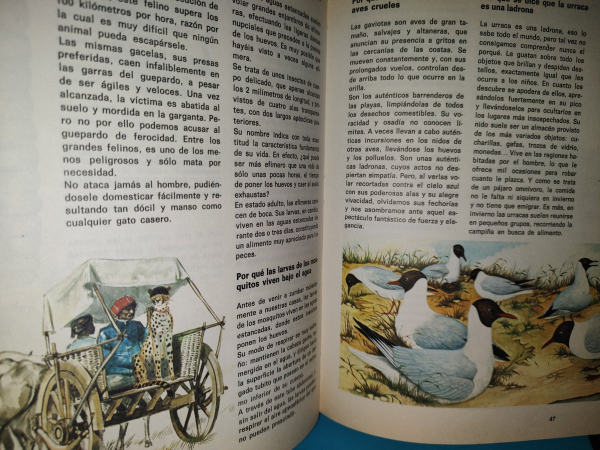 99- Biblioteca Básica Juvenil. El Libro Del Cuándo, Porqué, Dónde, Cómo - Ediciones Grijalbo, 1973