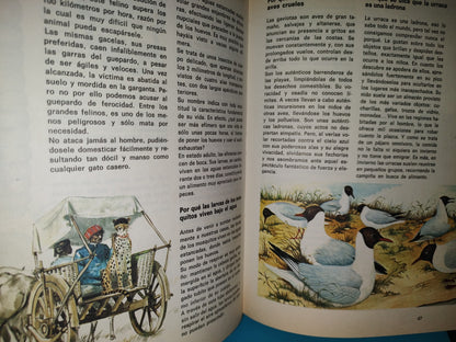 99- Biblioteca Básica Juvenil. El Libro Del Cuándo, Porqué, Dónde, Cómo - Ediciones Grijalbo, 1973