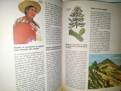 99- Biblioteca Básica Juvenil. El Libro Del Cuándo, Porqué, Dónde, Cómo - Ediciones Grijalbo, 1973