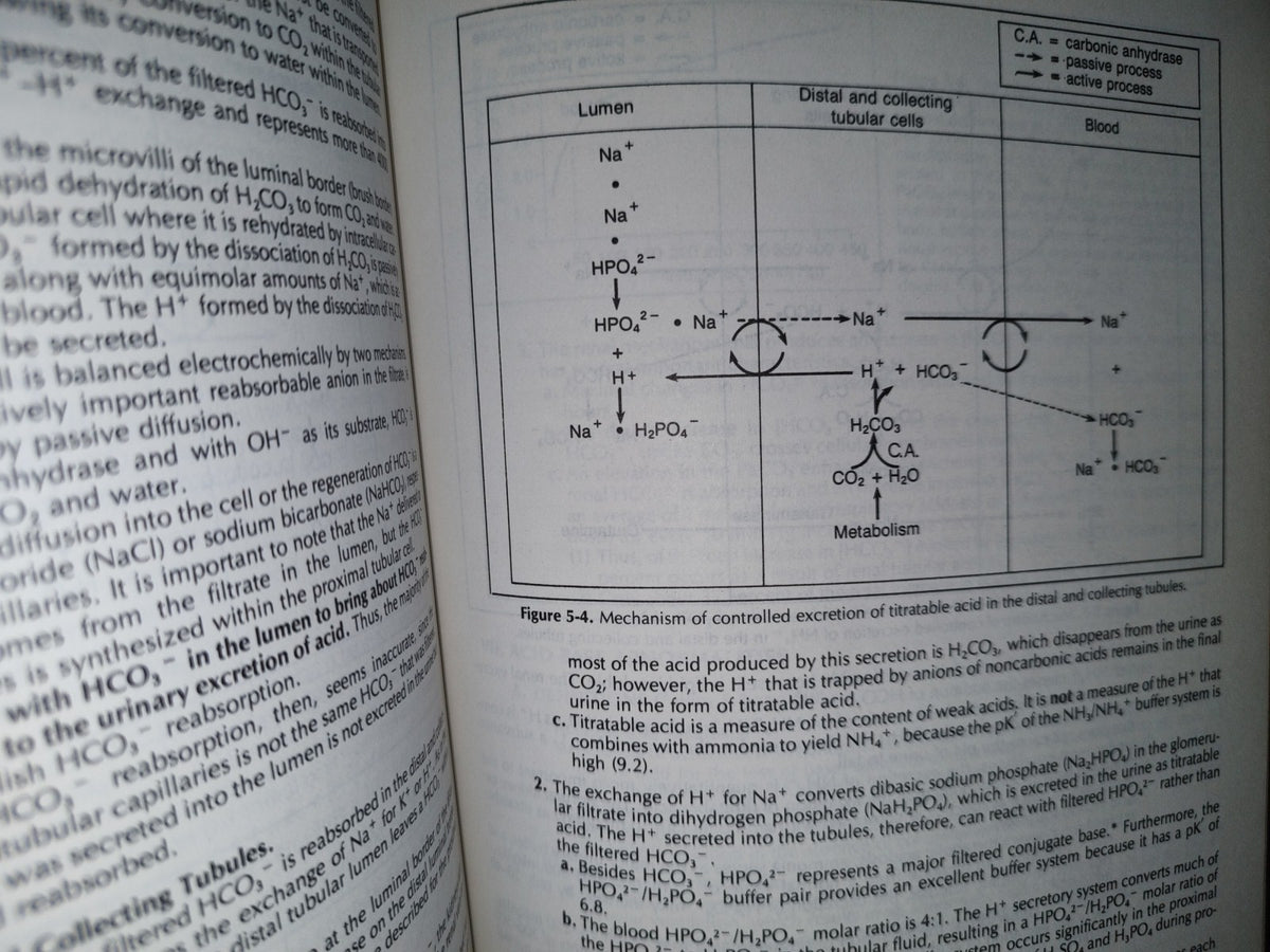 114- Physiology. Johon Bullock, Joeph Boyle, Michael B. Wang