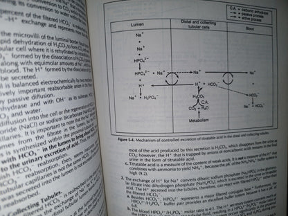 114- Physiology. Johon Bullock, Joeph Boyle, Michael B. Wang
