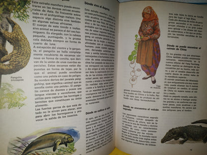 99- Biblioteca Básica Juvenil. El Libro Del Cuándo, Porqué, Dónde, Cómo - Ediciones Grijalbo, 1973