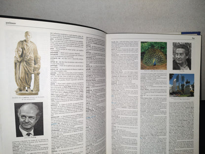 87-2- Rezza. Diccionario Enciclopédico Para El Siglo Xxi - Rezza Editores - 2001