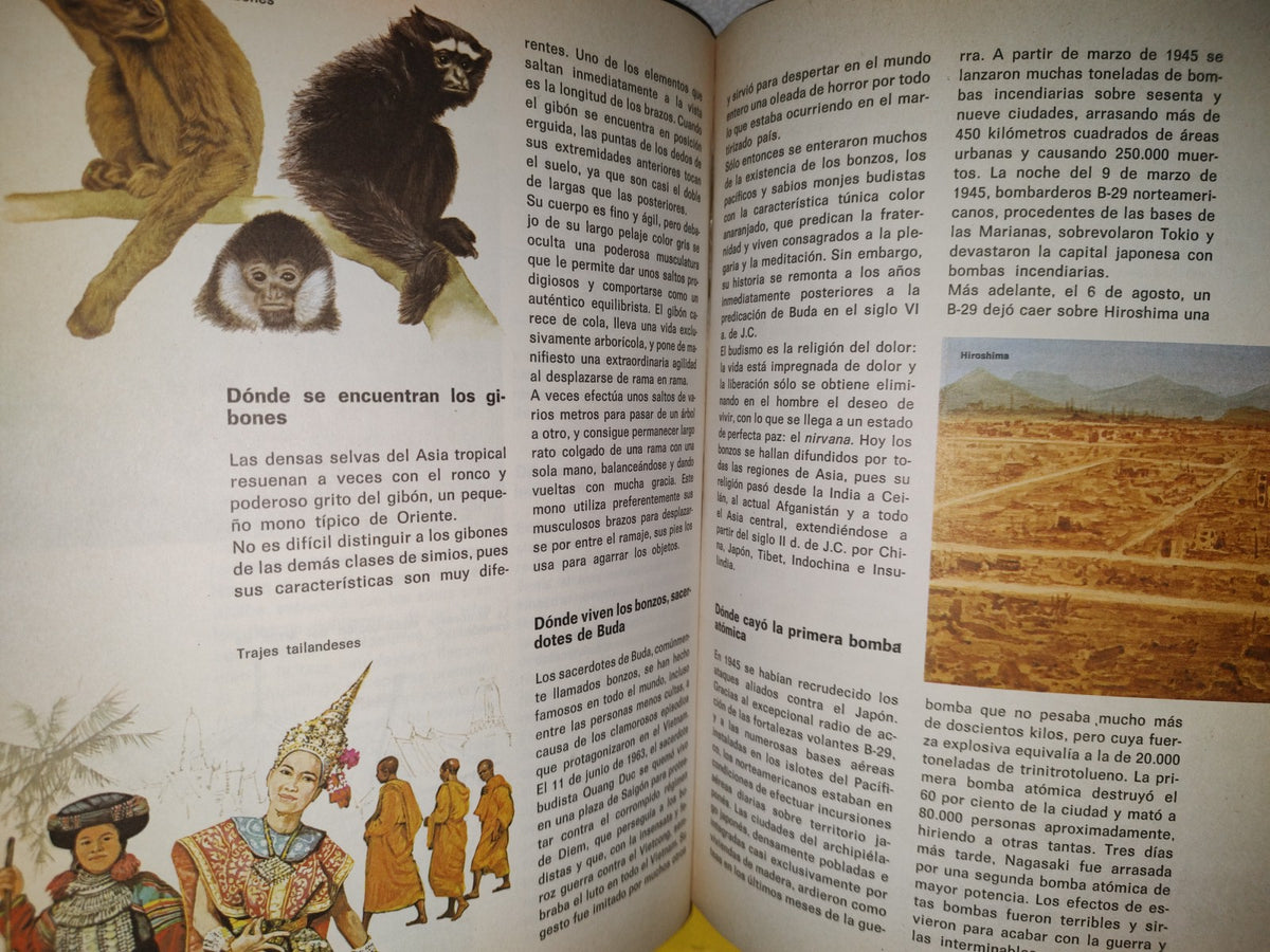 99- Biblioteca Básica Juvenil. El Libro Del Cuándo, Porqué, Dónde, Cómo - Ediciones Grijalbo, 1973