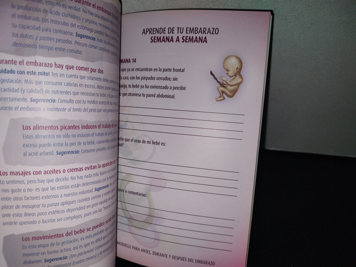 90- Mi Embarazo. El Maravilloso Camino Para Convertirse En Mamá