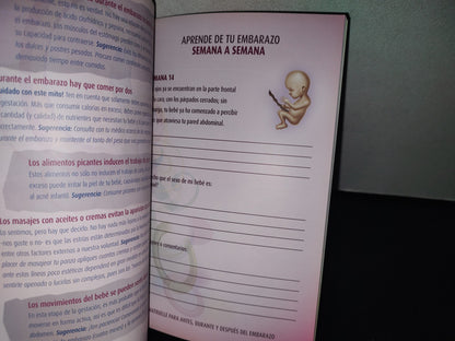 90- Mi Embarazo. El Maravilloso Camino Para Convertirse En Mamá