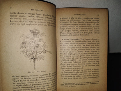 64- Francés. Les Rosiers - Cochet-Cochet, S. Mottet - 1925