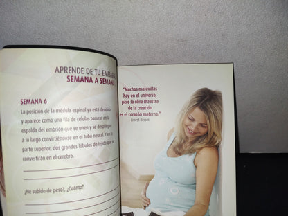 90- Mi Embarazo. El Maravilloso Camino Para Convertirse En Mamá