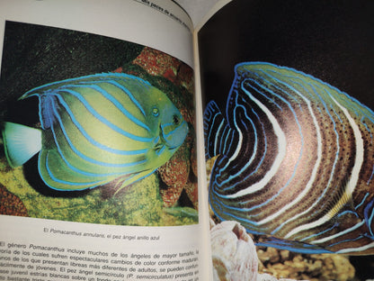 215- Mis Peces De Acuario Marino - Dr. Cliff W. Emmens - Editorial Hispano Europea, 1993