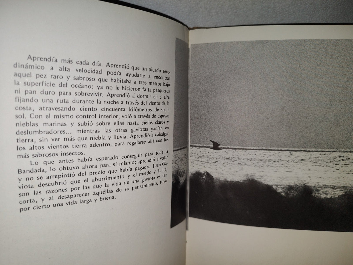 174- Juan Salvador Gaviota - Richard Bach - 1972