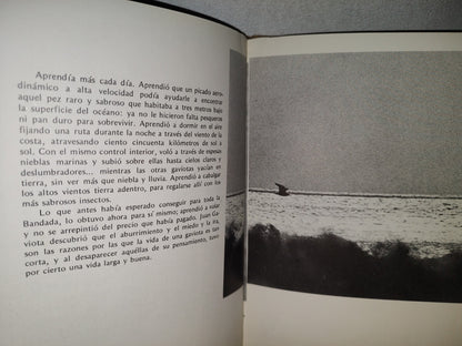 174- Juan Salvador Gaviota - Richard Bach - 1972