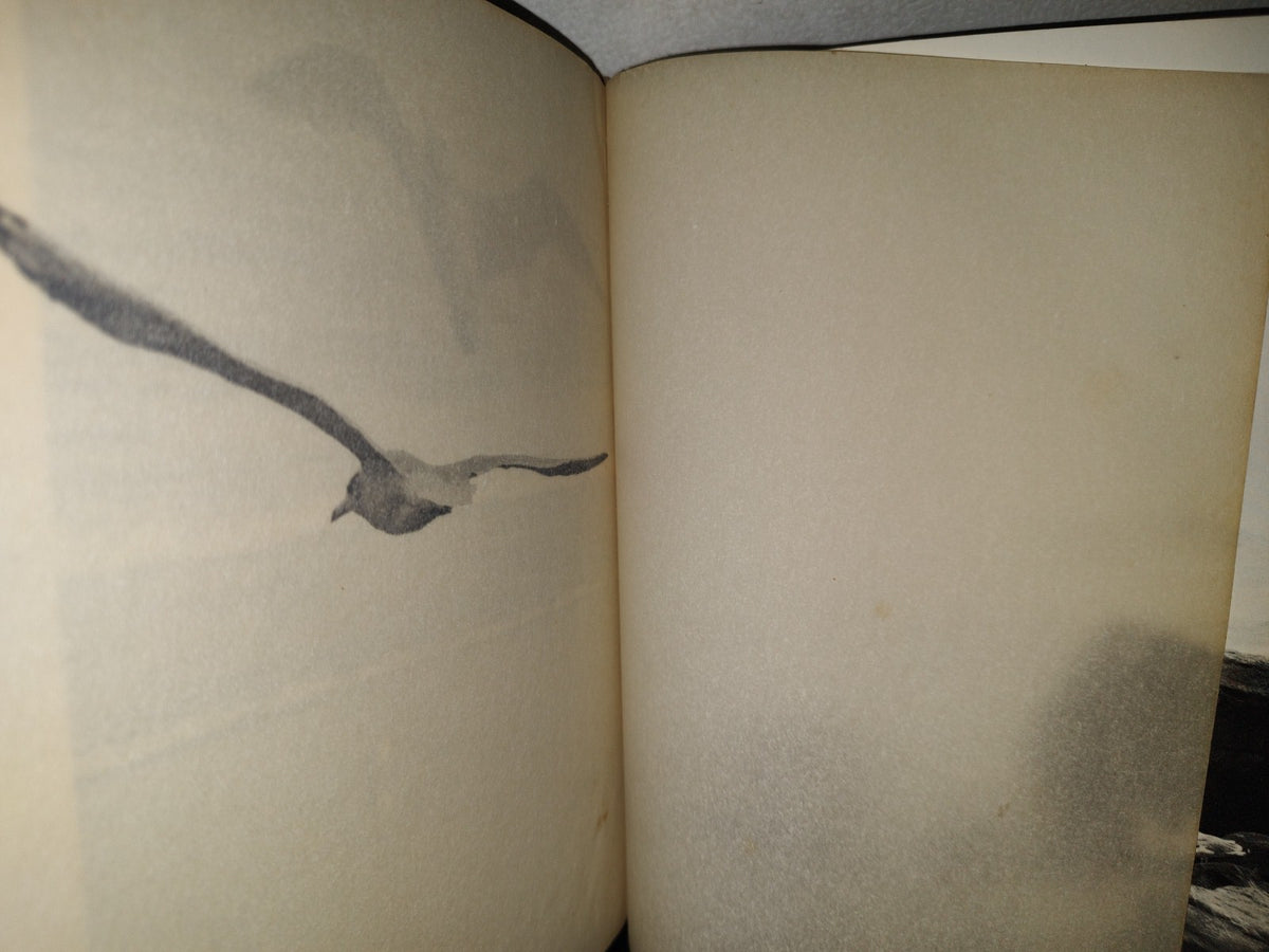 174- Juan Salvador Gaviota - Richard Bach - 1972