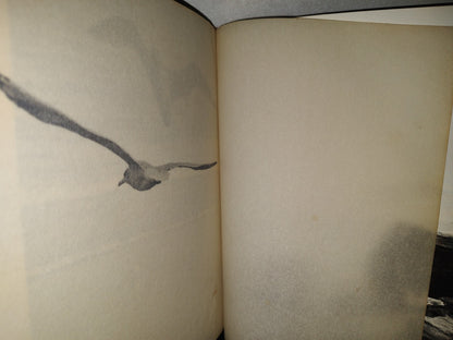 174- Juan Salvador Gaviota - Richard Bach - 1972