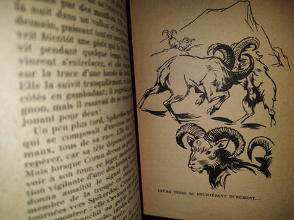 201- Krag Le Mouflon - E. T. Seton - Hachette, 1954