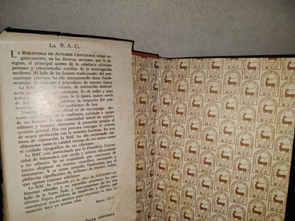 219- Señora Nuestra. El Misterio Del Hombre A La Luz Del Misterio De María - José Ma. Cabodevilla - Biblioteca De Autores Cristianos. Madrid. 1975