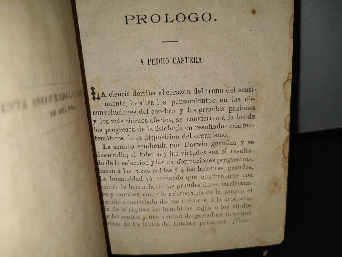 60- Carmen (Memorias De Un Corazón) - Pedro Castera - 1887 - Firmado