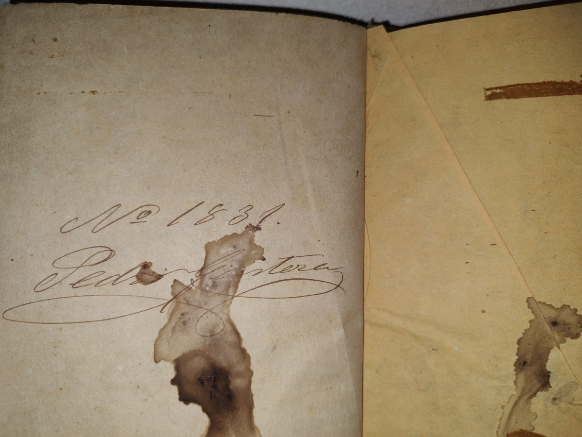 60- Carmen (Memorias De Un Corazón) - Pedro Castera - 1887 - Firmado