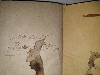 60- Carmen (Memorias De Un Corazón) - Pedro Castera - 1887 - Firmado