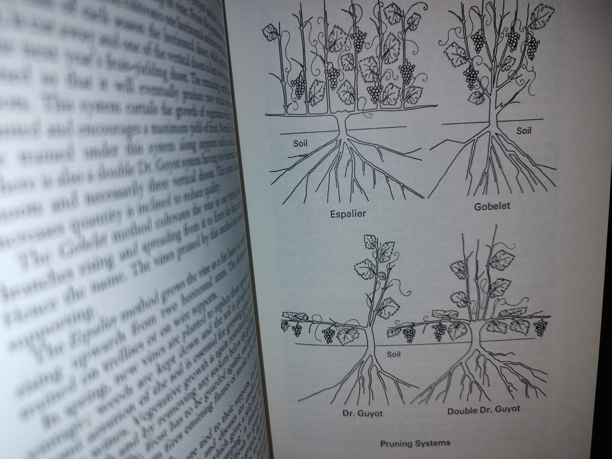 114- Libro De Vinos: Vendange. A Study Of Wine And Other Drinks - Andrew Durkan - First Published 1971