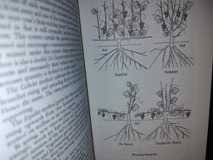 114- Libro De Vinos: Vendange. A Study Of Wine And Other Drinks - Andrew Durkan - First Published 1971