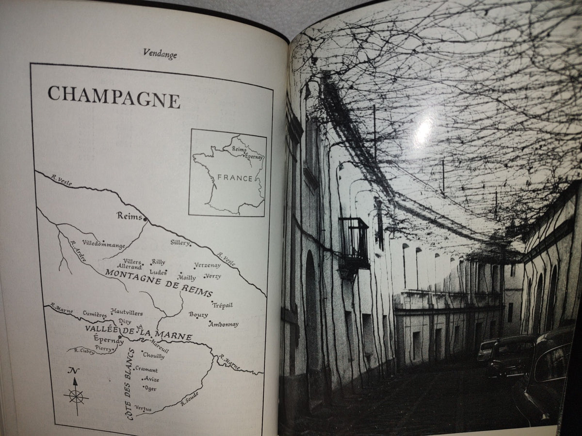 114- Libro De Vinos: Vendange. A Study Of Wine And Other Drinks - Andrew Durkan - First Published 1971